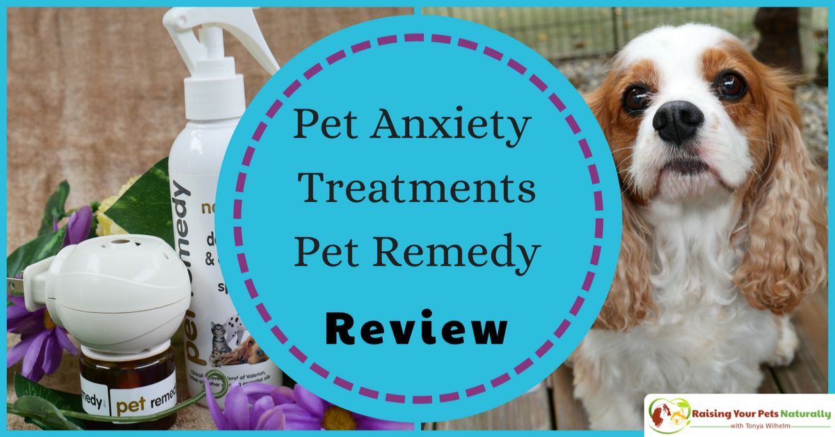 homeopet travel anxiety