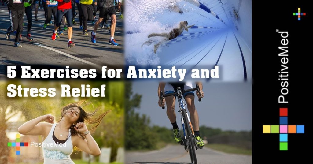 anxiety or stress crossword